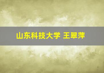 山东科技大学 王翠萍